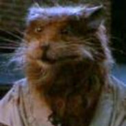 Splinter