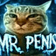 MR. PENIS