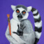 lemur