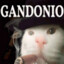 Gandonio