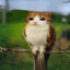 itsmercifull