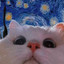SSUPERPOTATO
