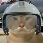 帝国絶凶の虎！圆头耄