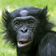 Ƿⓡ☼ℱ€$$☢ⓡ