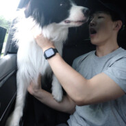 蓝莓冰淇淋噗噗