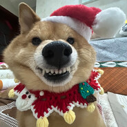 克莱恩不吃迪西馅饼