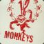 Teh12thMonkey