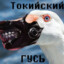 ПТС Гусь