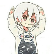 马鞍山航空公司CEO