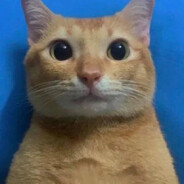 Yalayalla avatar