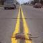 Roadkill Possum