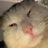 qee