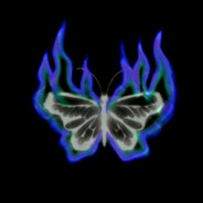 Blue fire butterfly