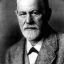 [IMR] Freud