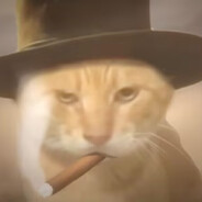 西部快哈手圆头耄耋