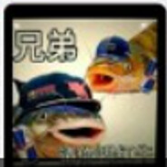 窝实兲