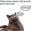 Bartholomeow