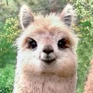 白PIAO大狙不白给X