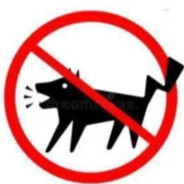 世一超绝瘤子大王