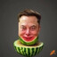 Melon Musk