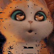 赵日日日日日日日日日