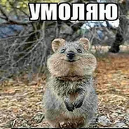 yunik - steam id 76561199772480506