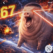 V4LOR 67