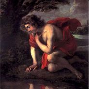narcisse