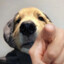 洛