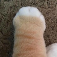 大家好我是基轮