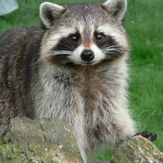 ˙♥˙ · REASSON · ˙♥˙