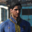 Vault Dweller