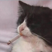 ЭМОБОЙ ЕЖЖИ