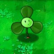 后花园突破手三叶草