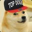 Top Doge