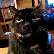 -_- - steam id 76561198140849901