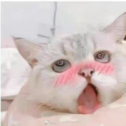 爱小景真是太好了