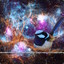 Cosmic Wren