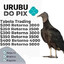 Urubu do Pix