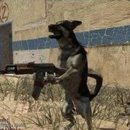 用智商帮助傻缺队友