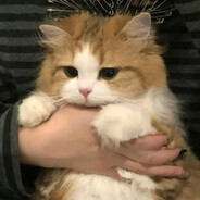 阿瑜