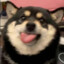 ZXxxx
