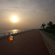 ◢Orange crewmate◤