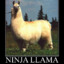 Misledllama