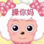 大白菜鸡毛菜