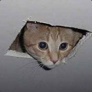 Saccharin - steam id 76561197965607114