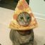 AndroidThePizzaCat