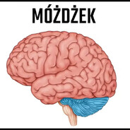 Robert Półmóżdżka|mefis.to avatar