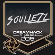 SoulLeZz ¯\_(ツ)_/¯