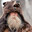 Jonde Bear : D